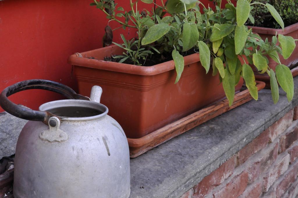 B&B Edera Castagnole Piemonte Kültér fotó