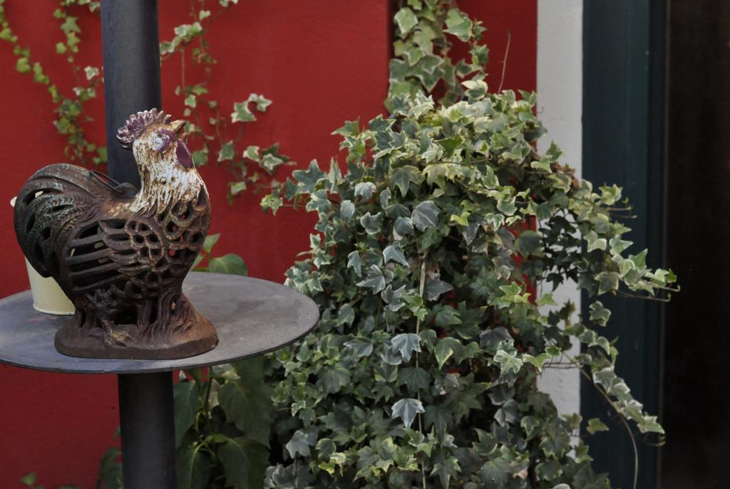 B&B Edera Castagnole Piemonte Kültér fotó
